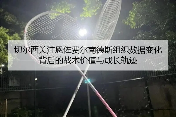 切尔西关注恩佐费尔南德斯组织数据变化背后的战术价值与成长轨迹